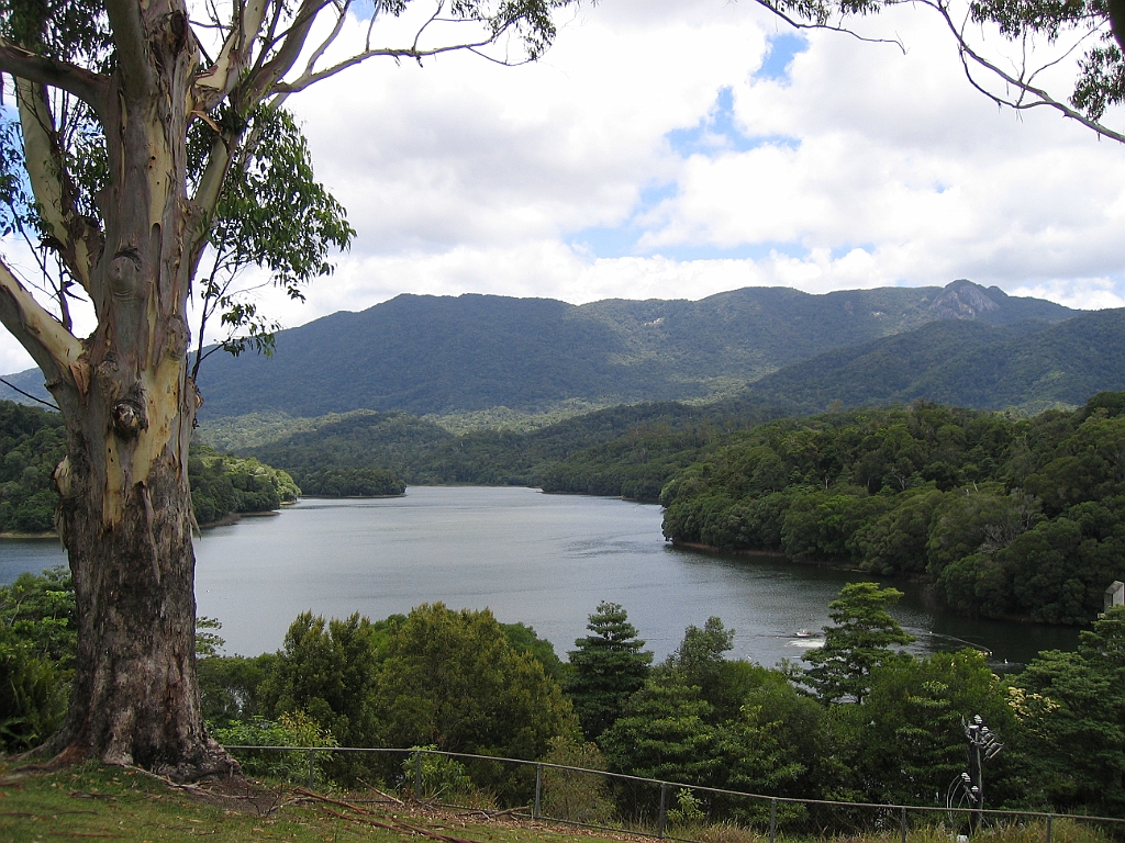 CairnsTC373 Lake Morris.jpg